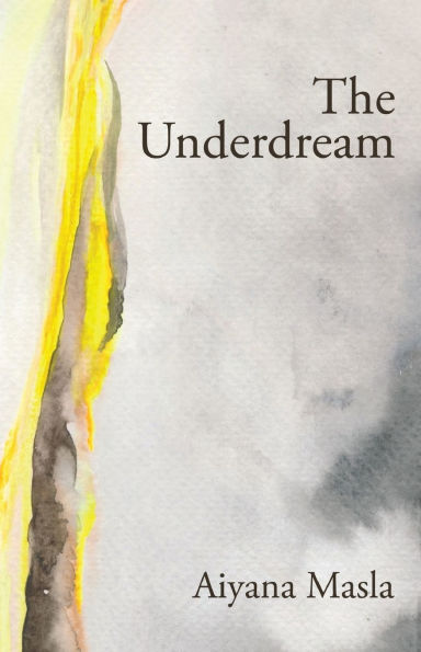 Book cover of The Underdream